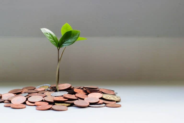 Quelle stratégie mettre en place pour obtenir un financement public ?